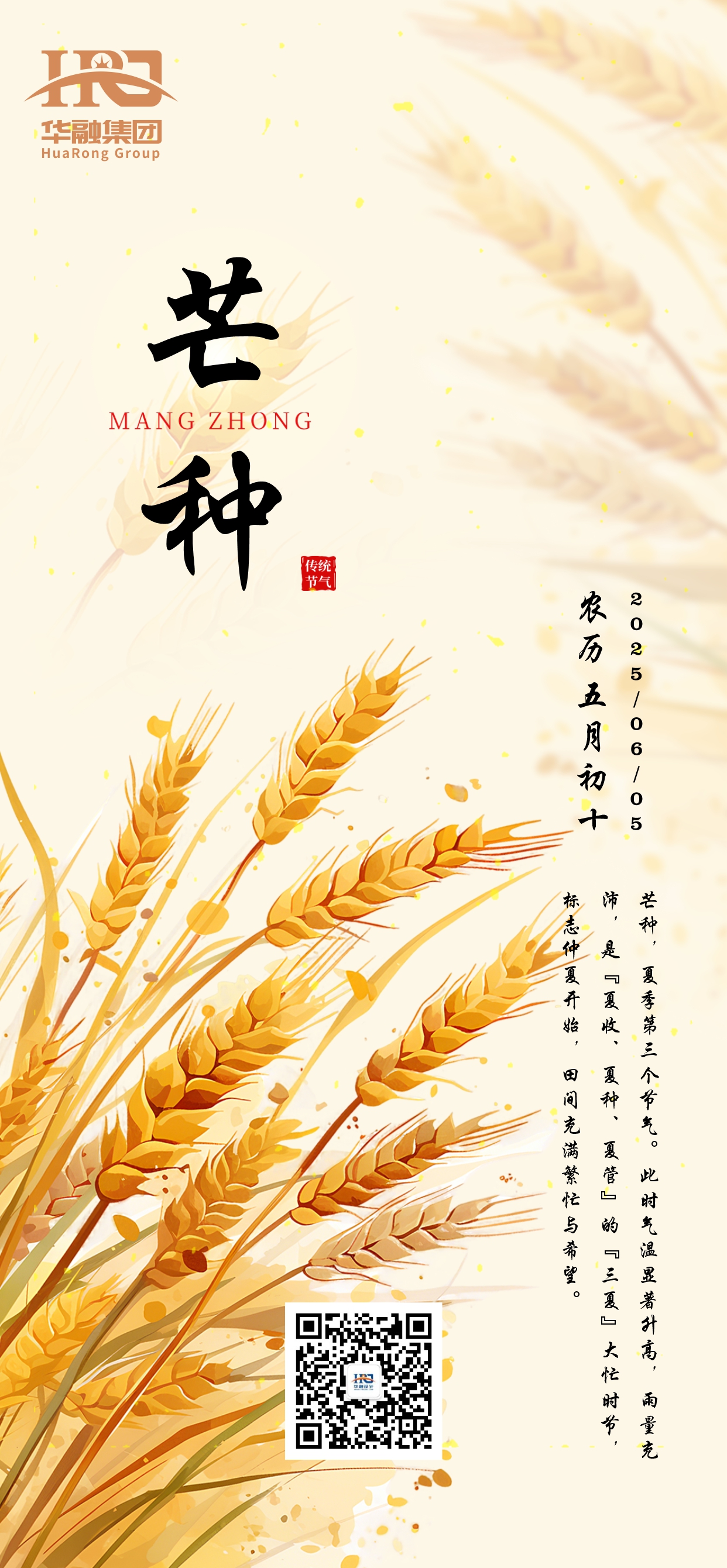 芒种.jpg